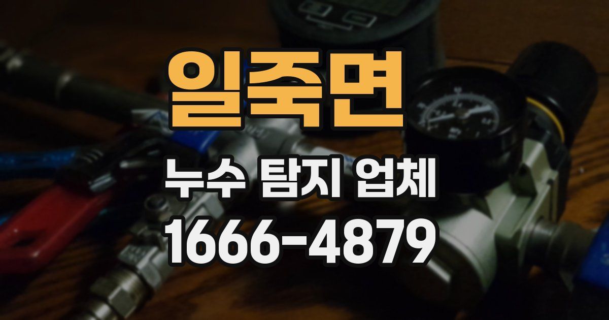 일죽면 누수 탐지 업체