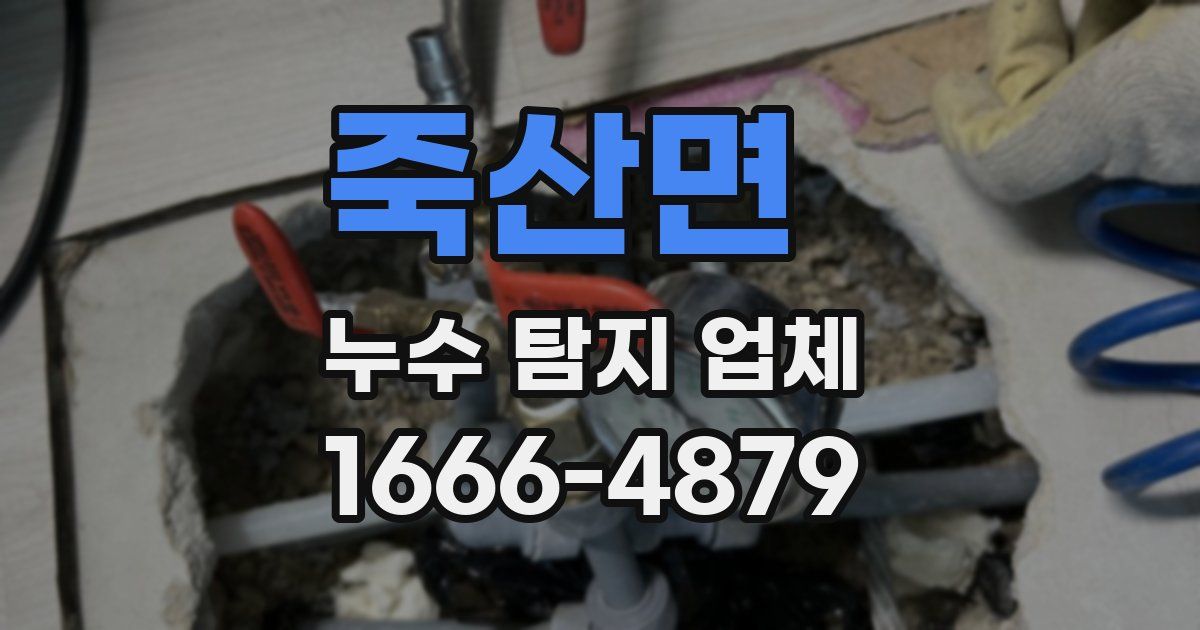 죽산면 누수 탐지 업체