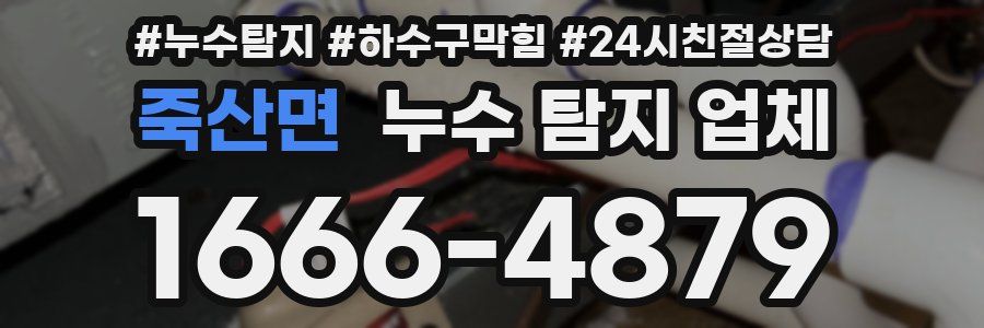 죽산면 누수 탐지 업체