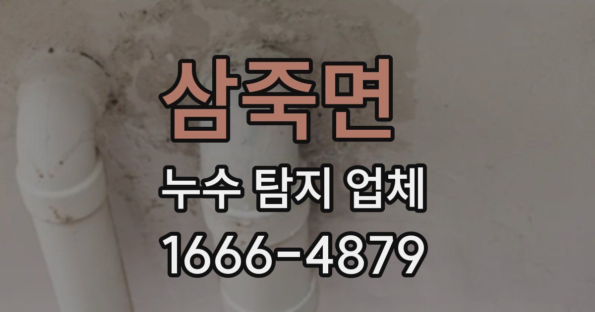 삼죽면 누수 탐지 업체