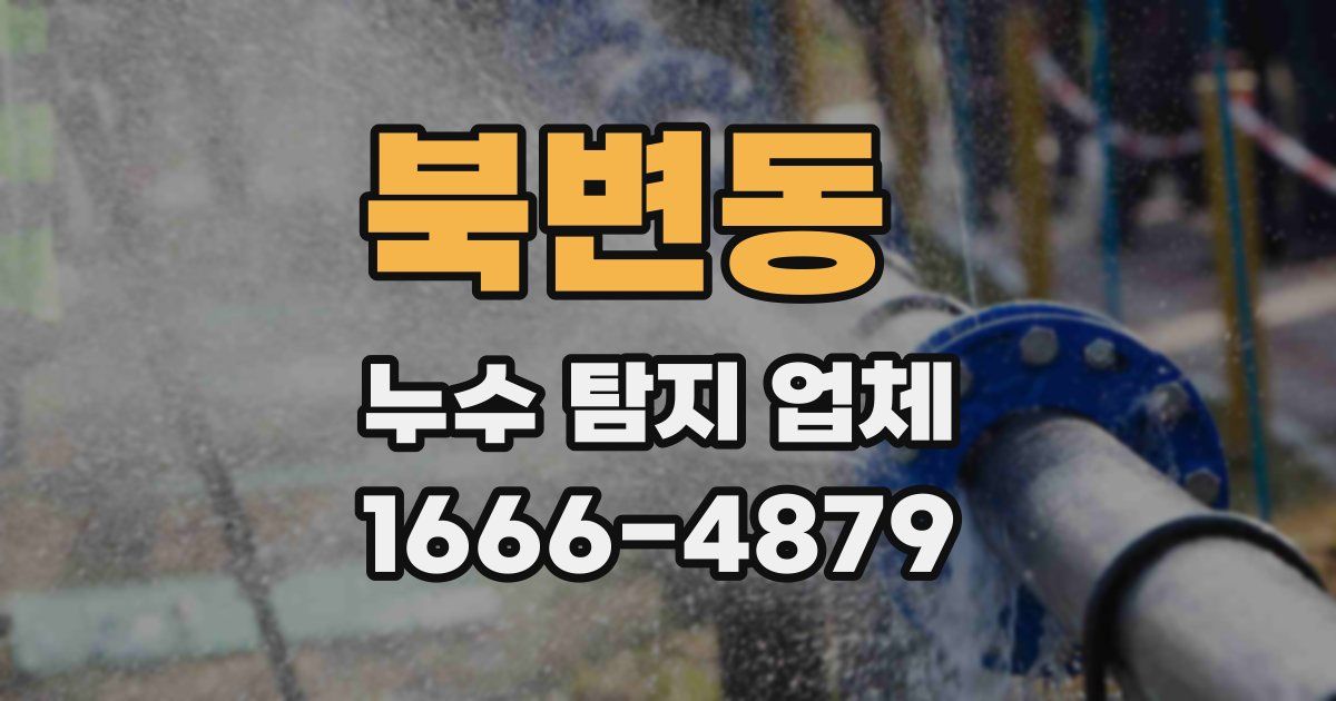 북변동 누수 탐지 업체