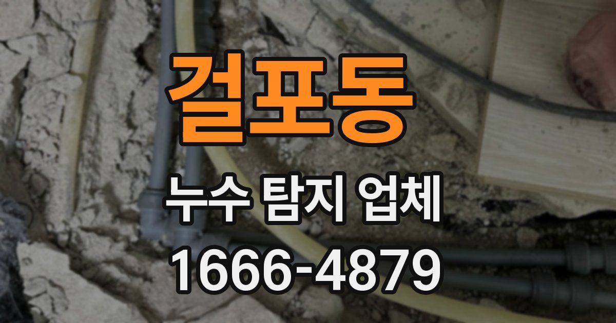 걸포동 누수 탐지 업체