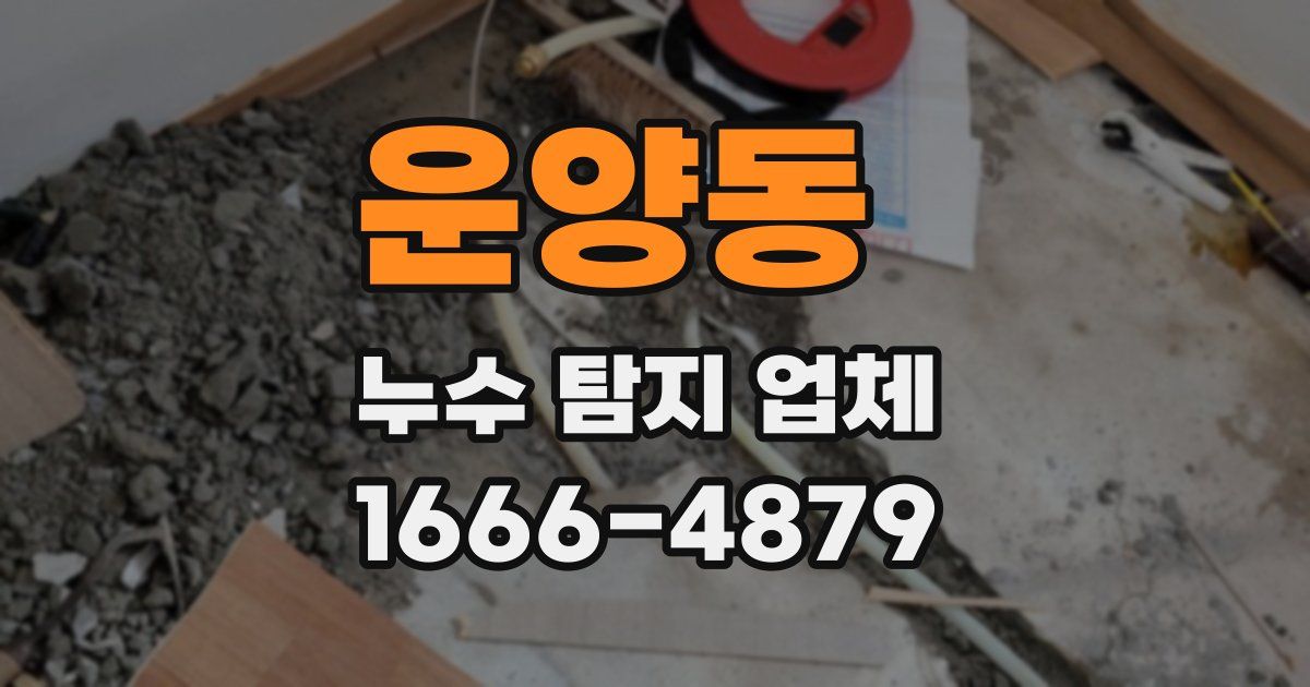 운양동 누수 탐지 업체