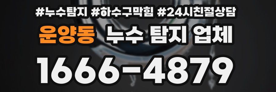 운양동 누수 탐지 업체