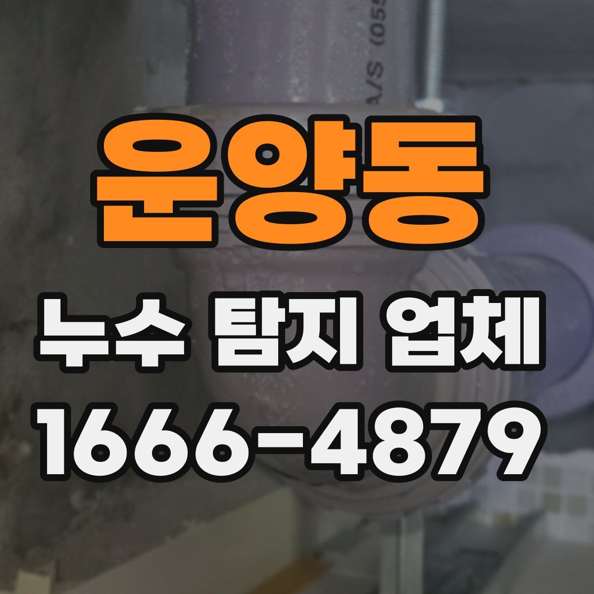 운양동 누수 탐지 업체