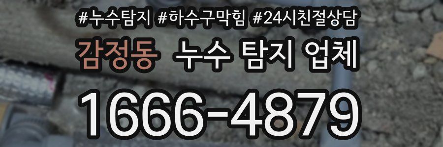 감정동 누수 탐지 업체