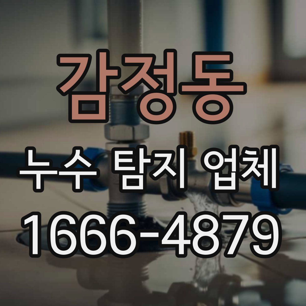 감정동 누수 탐지 업체