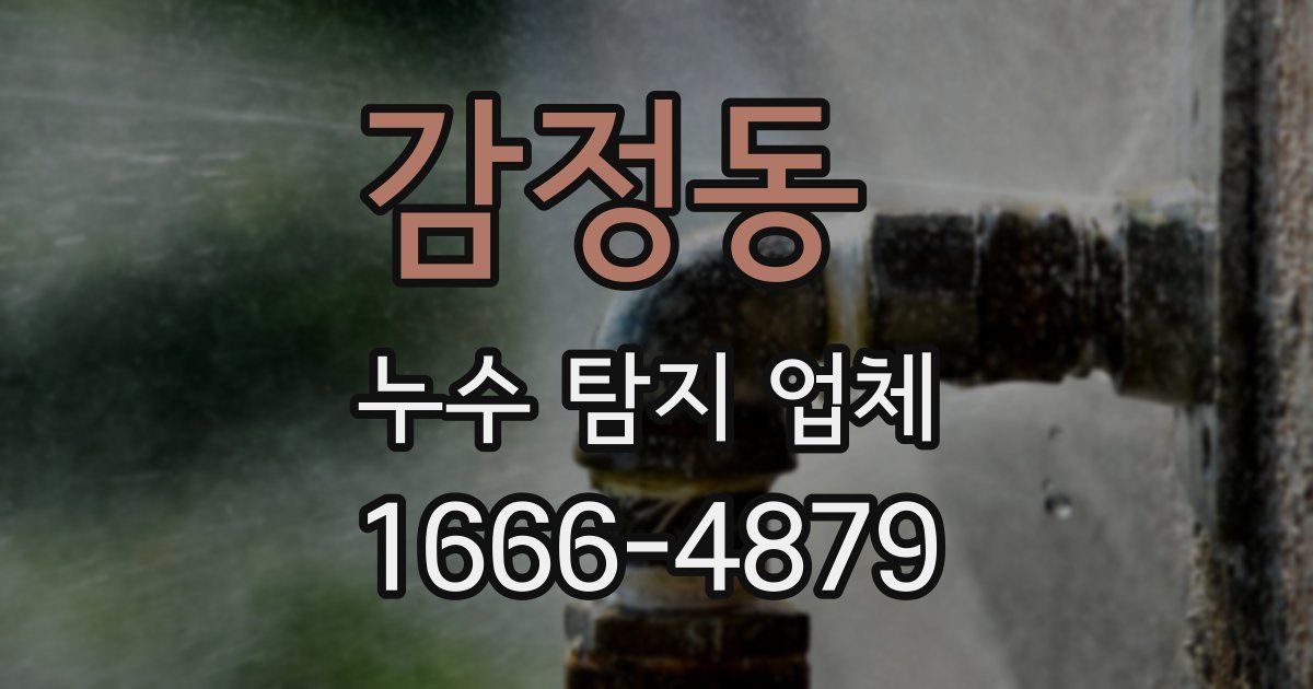 감정동 누수 탐지 업체