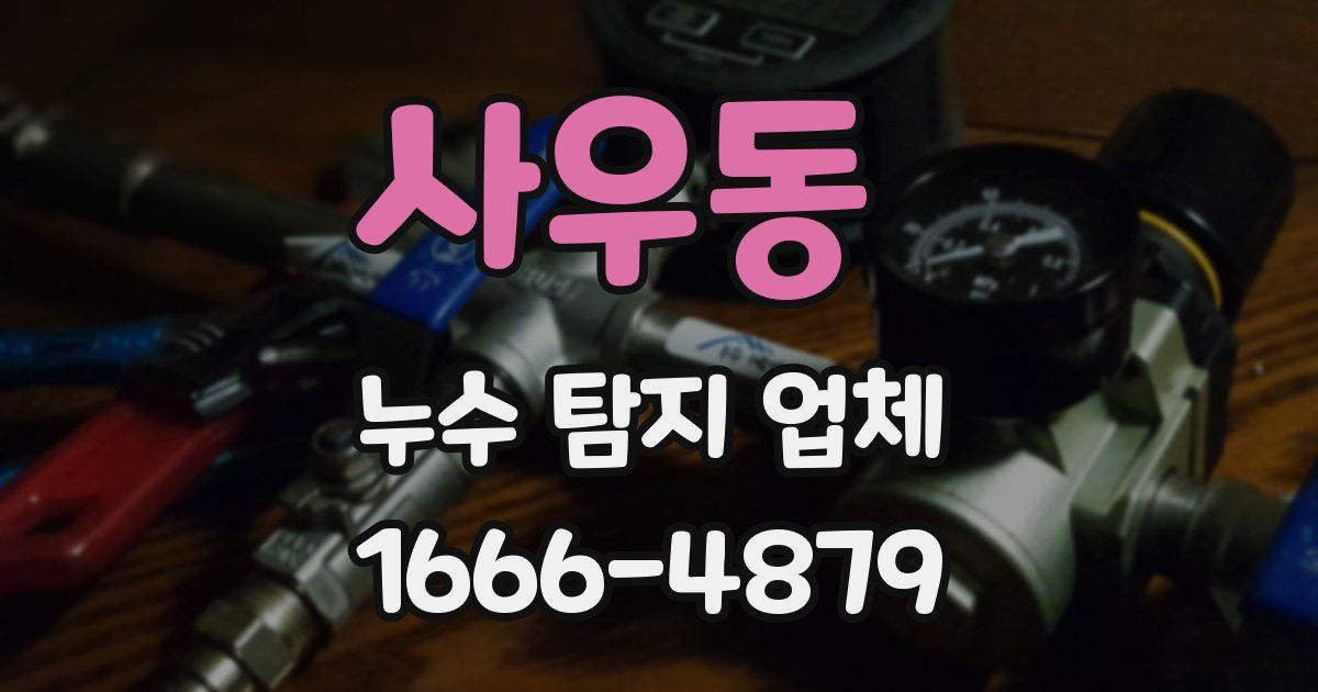 사우동 누수 탐지 업체
