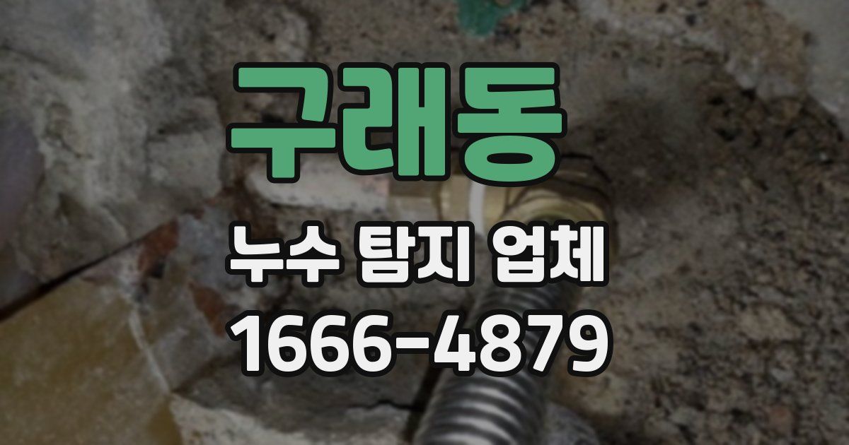 구래동 누수 탐지 업체