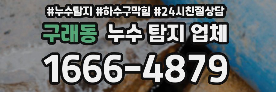 구래동 누수 탐지 업체
