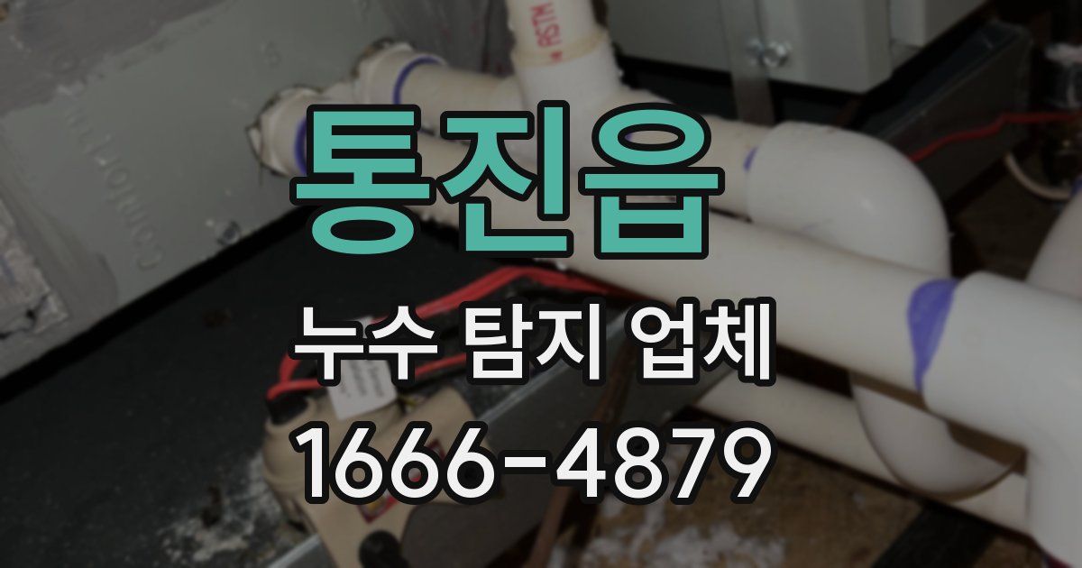 통진읍 누수 탐지 업체