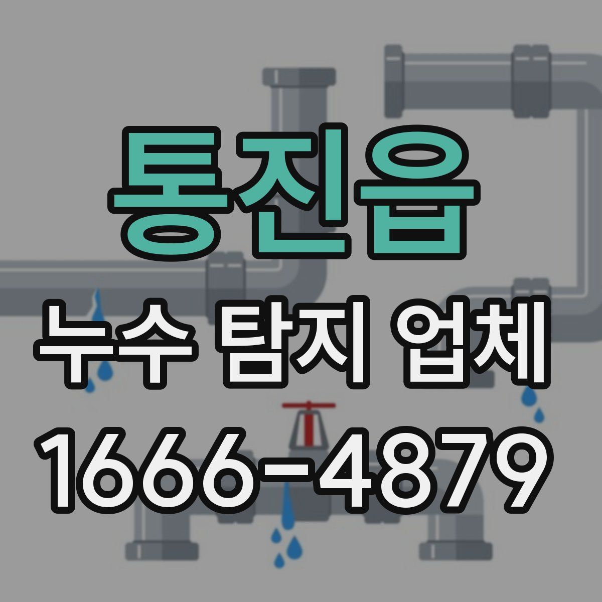 통진읍 누수 탐지 업체