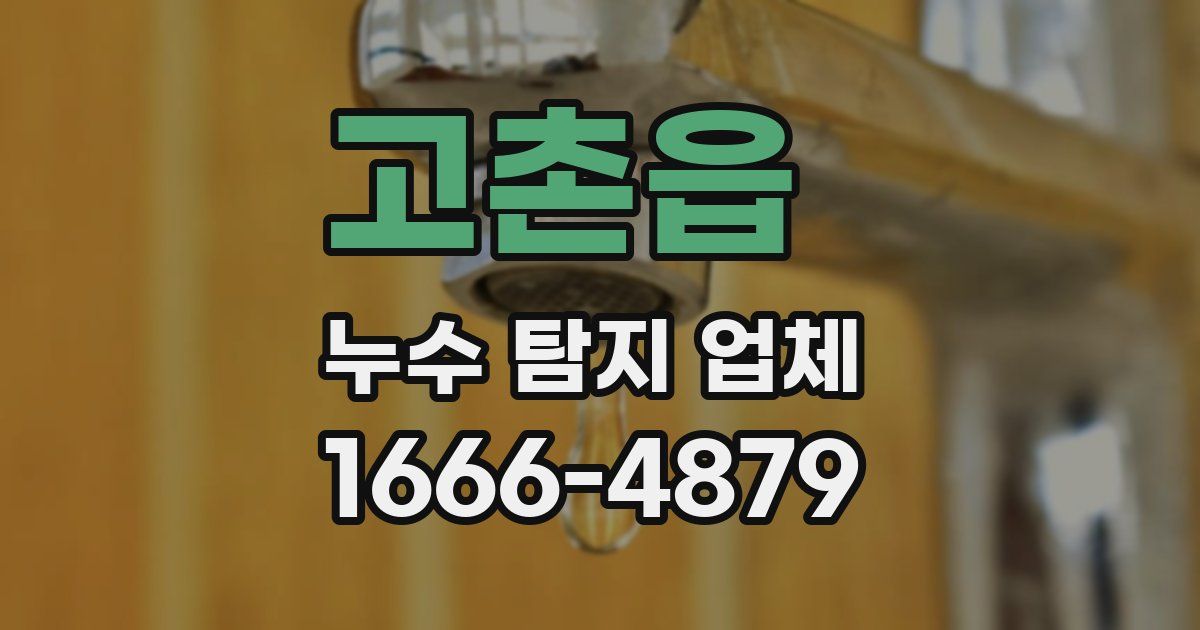 고촌읍 누수 탐지 업체
