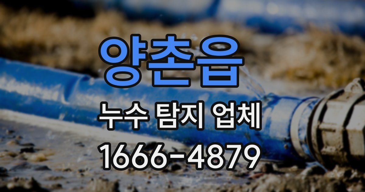 양촌읍 누수 탐지 업체