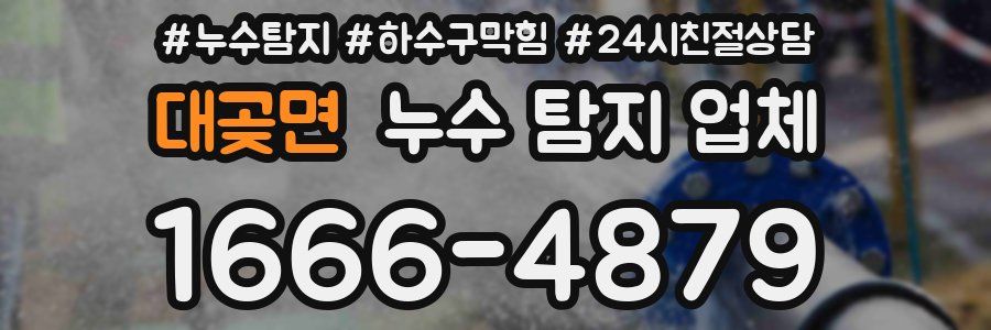 대곶면 누수 탐지 업체