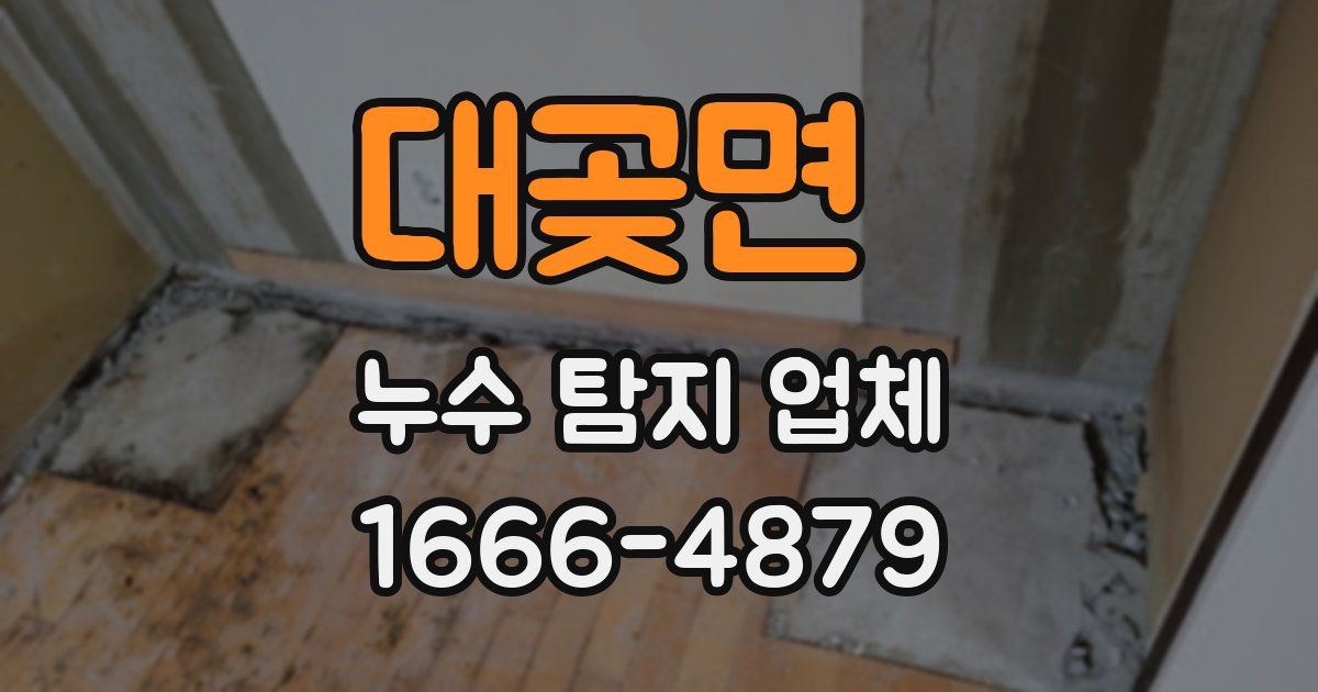 대곶면 누수 탐지 업체