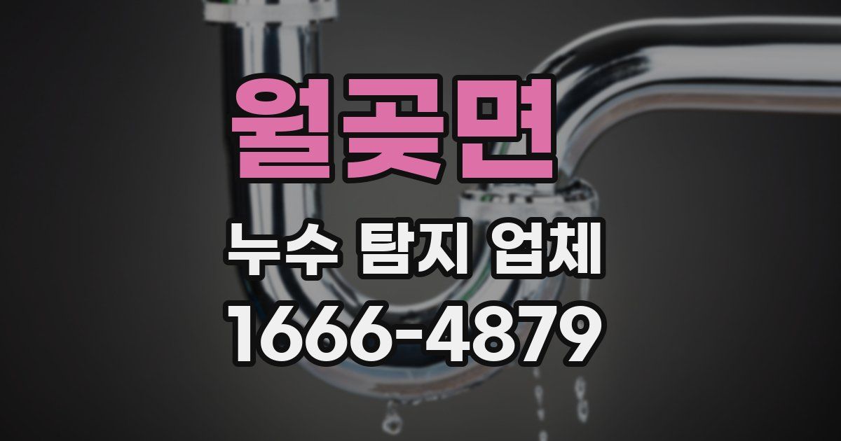 월곶면 누수 탐지 업체