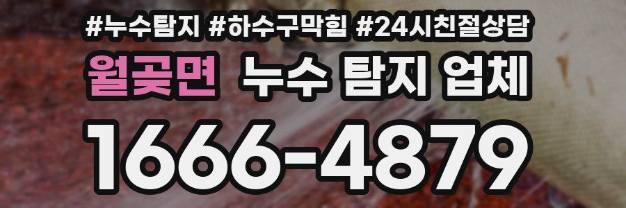 월곶면 누수 탐지 업체
