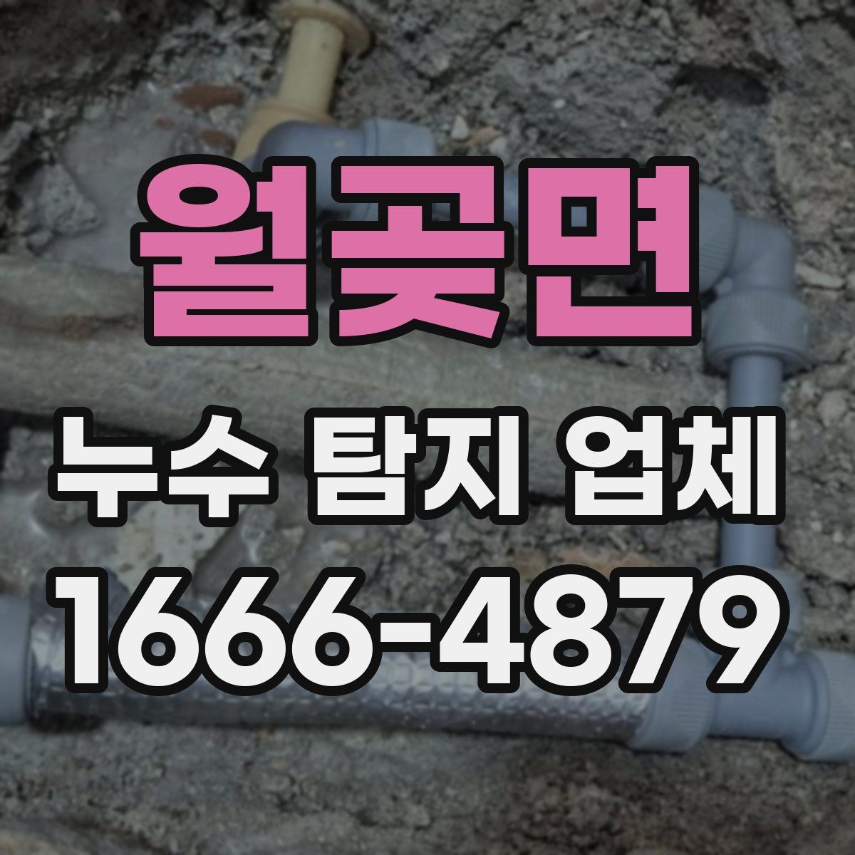 월곶면 누수 탐지 업체