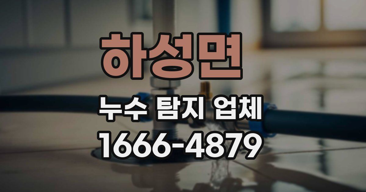 하성면 누수 탐지 업체