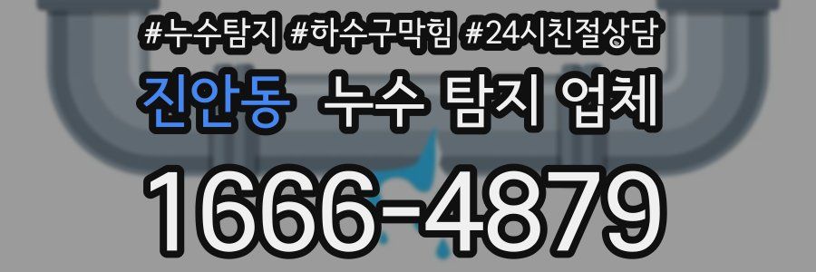 진안동 누수 탐지 업체