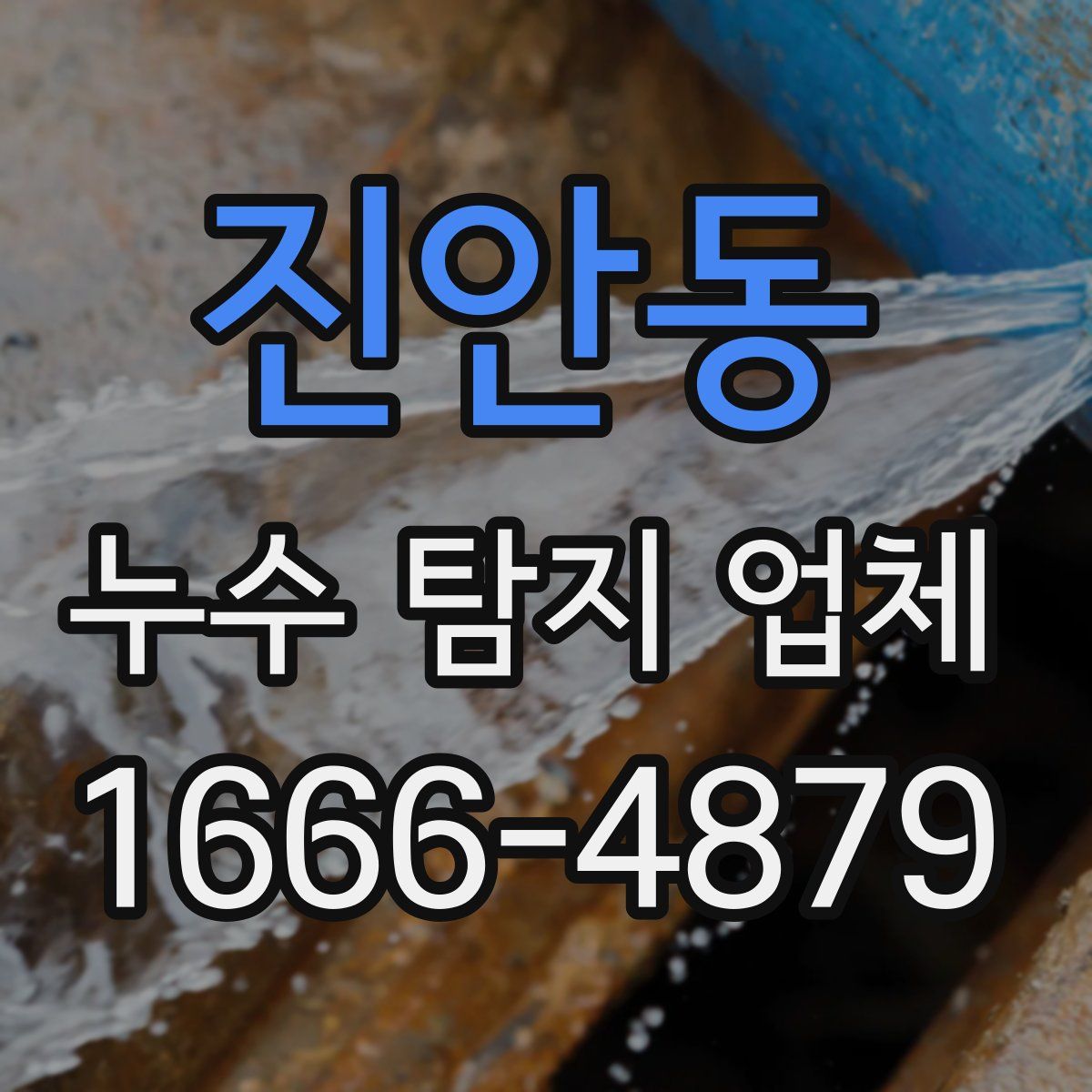 진안동 누수 탐지 업체