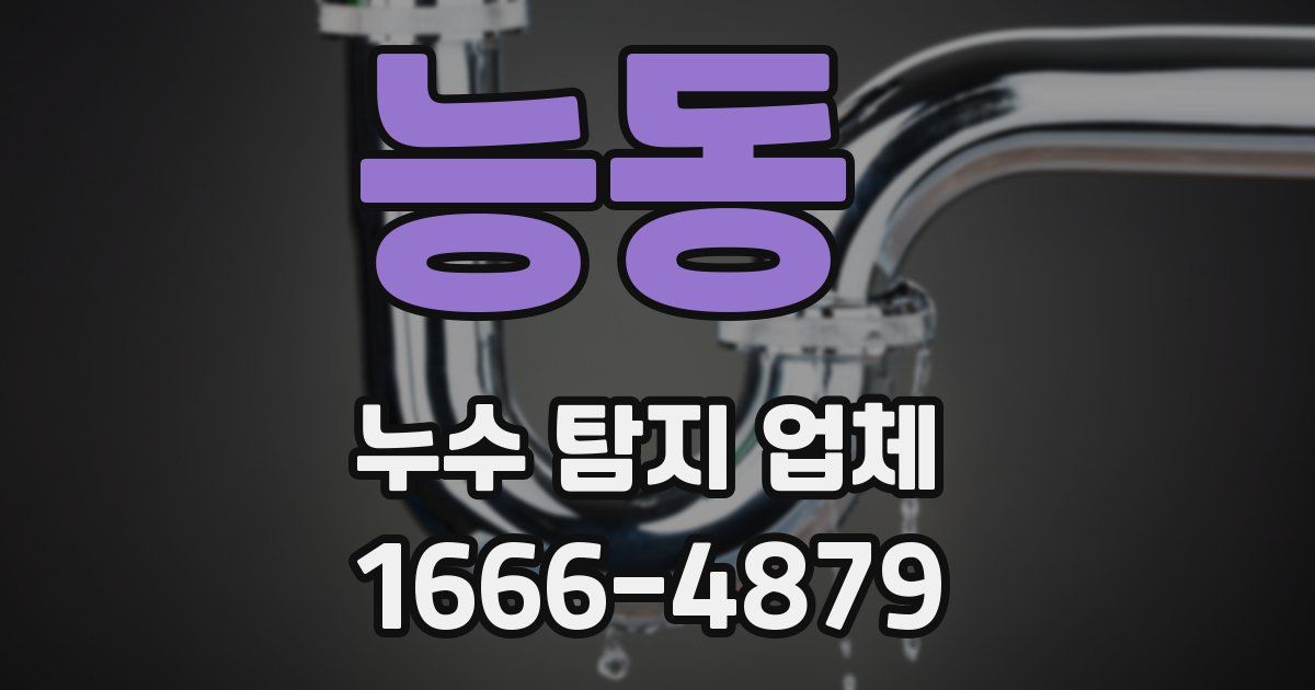 능동 누수 탐지 업체