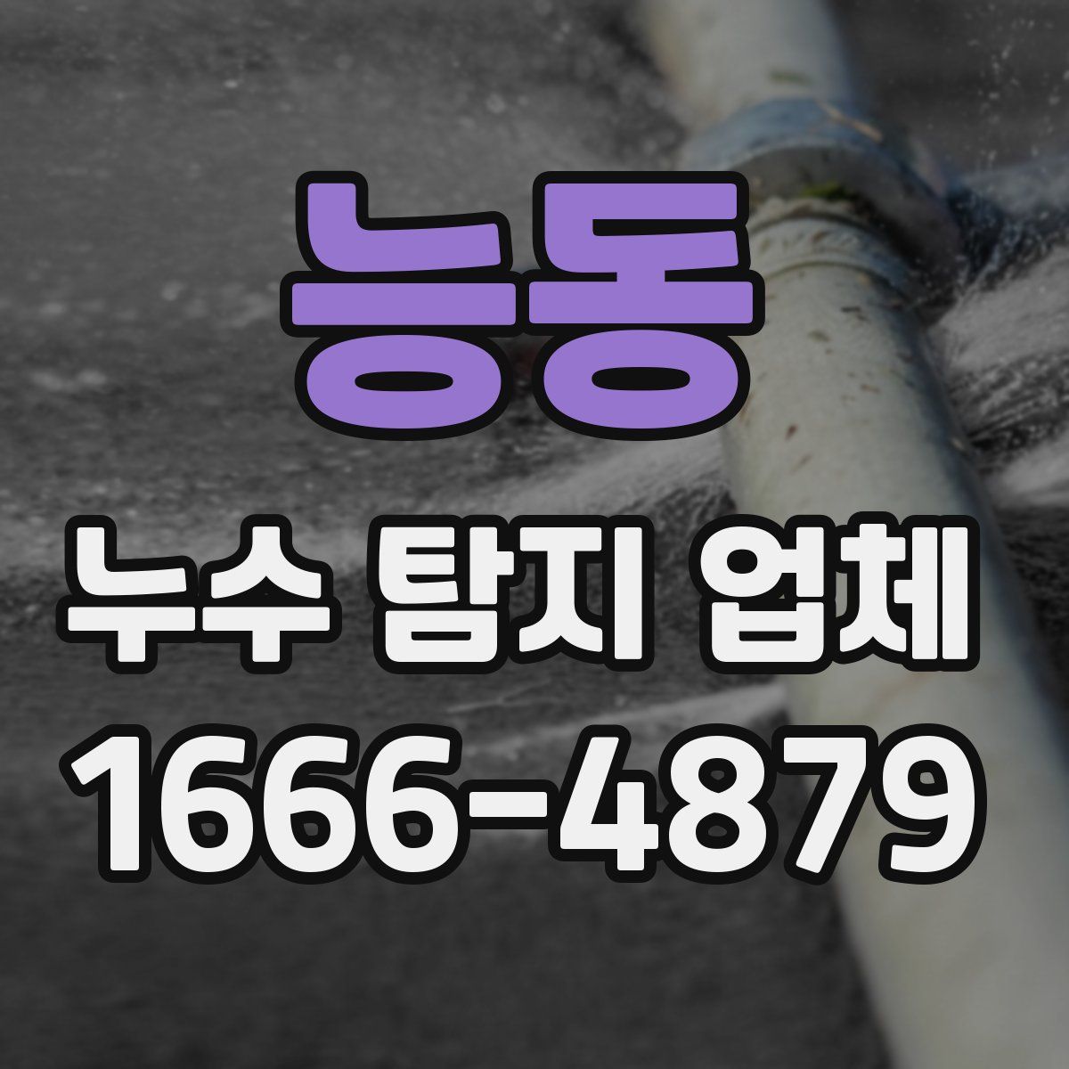능동 누수 탐지 업체