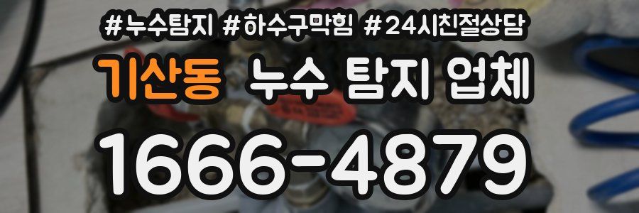 기산동 누수 탐지 업체