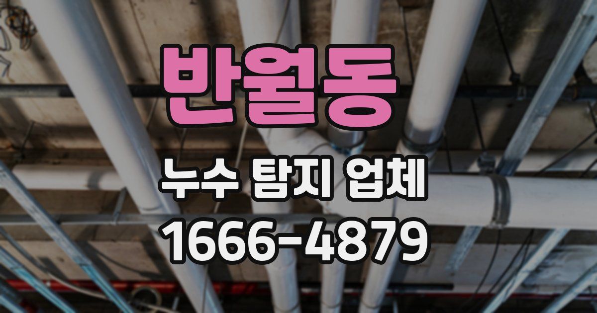 반월동 누수 탐지 업체