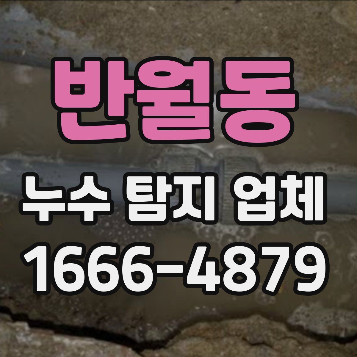 반월동 누수 탐지 업체