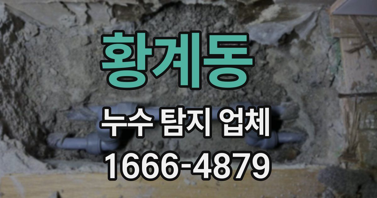 황계동 누수 탐지 업체