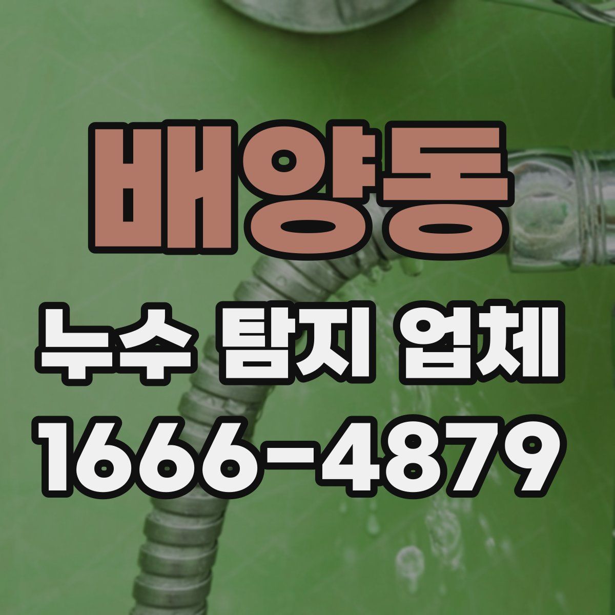 배양동 누수 탐지 업체