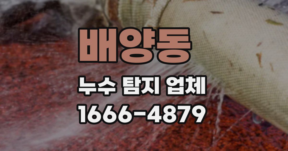 배양동 누수 탐지 업체