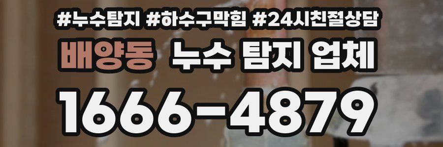 배양동 누수 탐지 업체