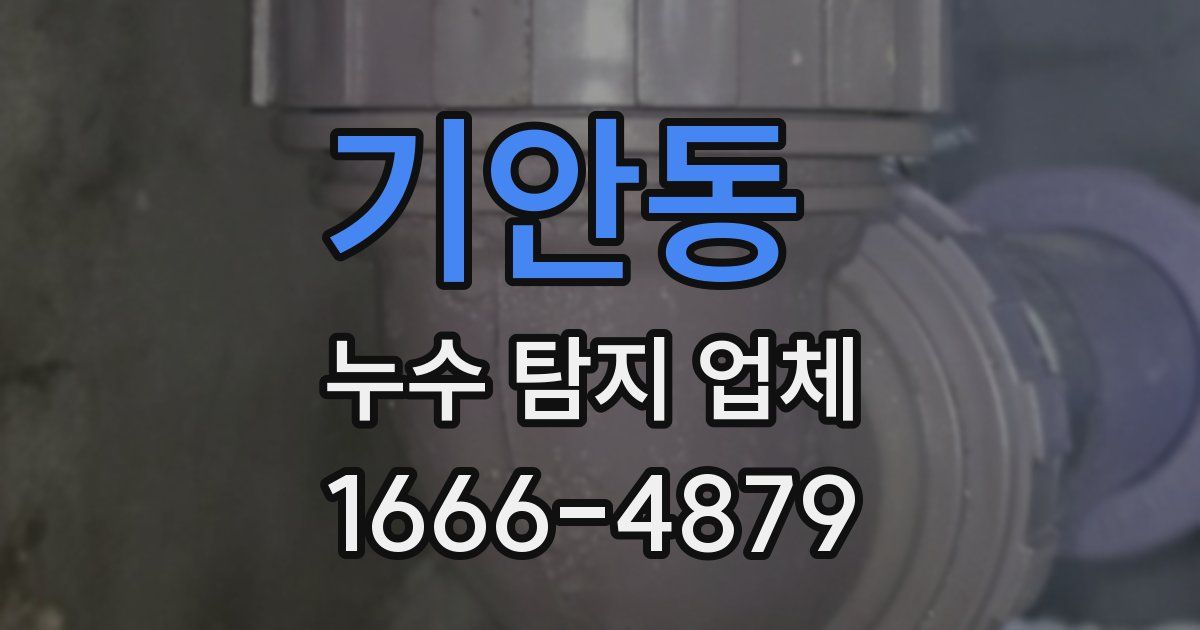 기안동 누수 탐지 업체