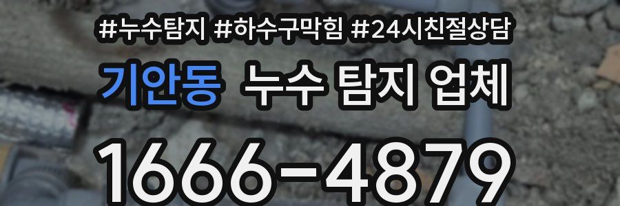 기안동 누수 탐지 업체