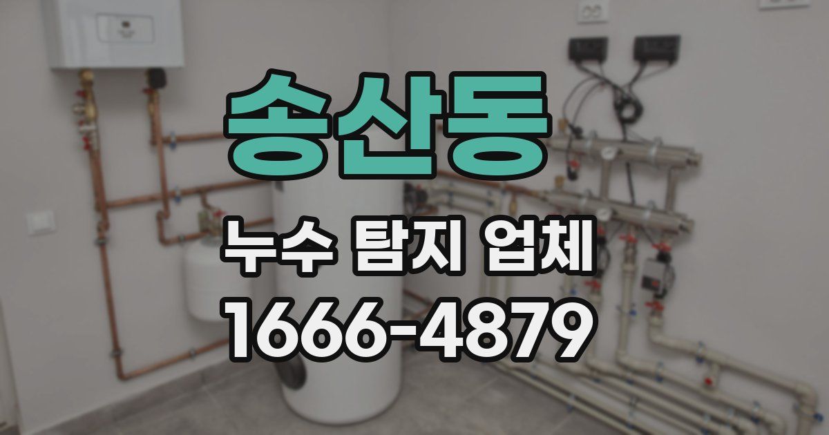송산동 누수 탐지 업체
