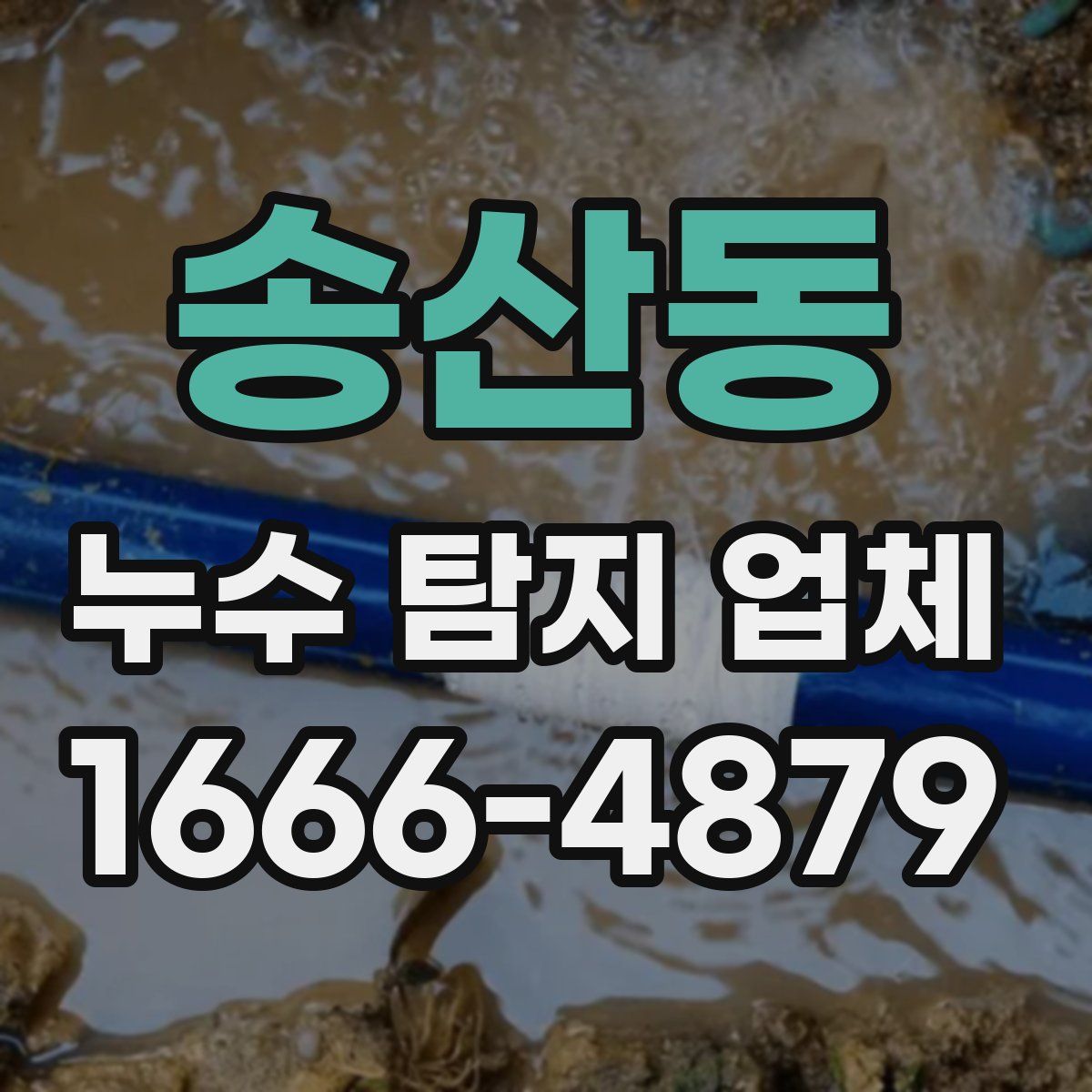 송산동 누수 탐지 업체