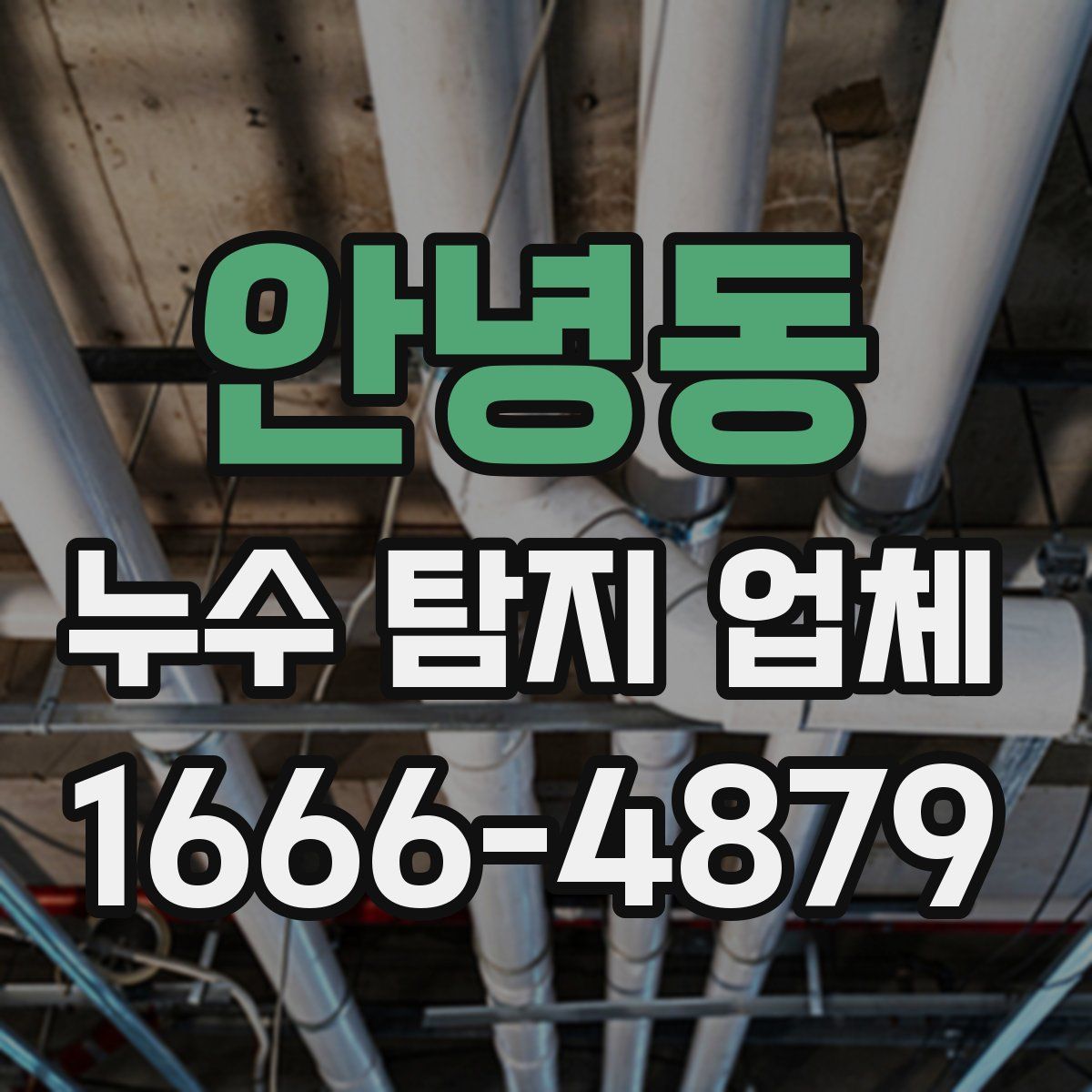 안녕동 누수 탐지 업체