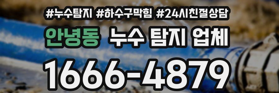 안녕동 누수 탐지 업체