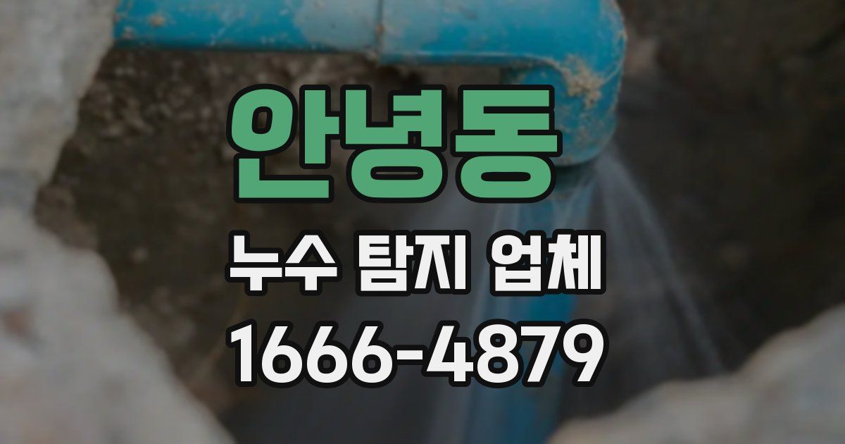 안녕동 누수 탐지 업체
