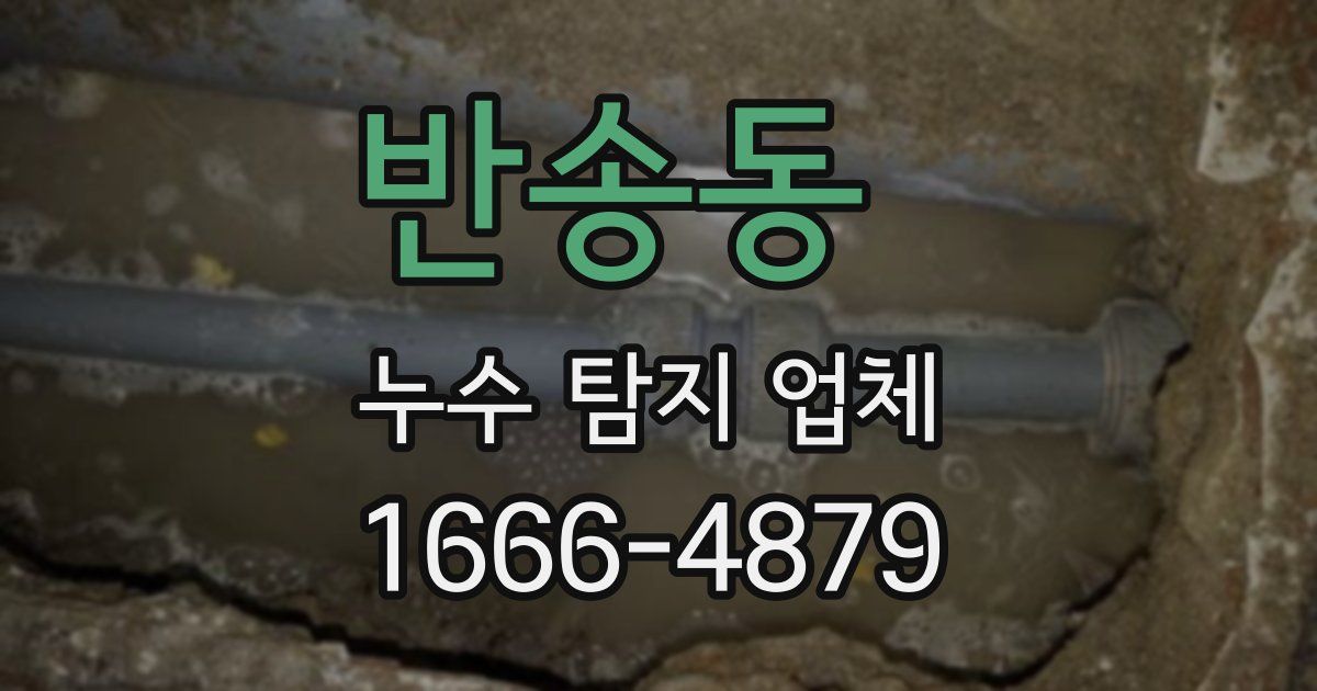 반송동 누수 탐지 업체