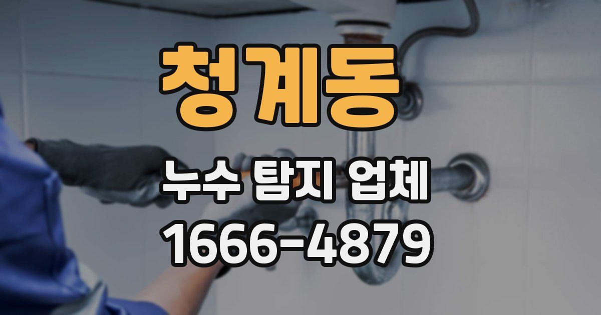 청계동 누수 탐지 업체