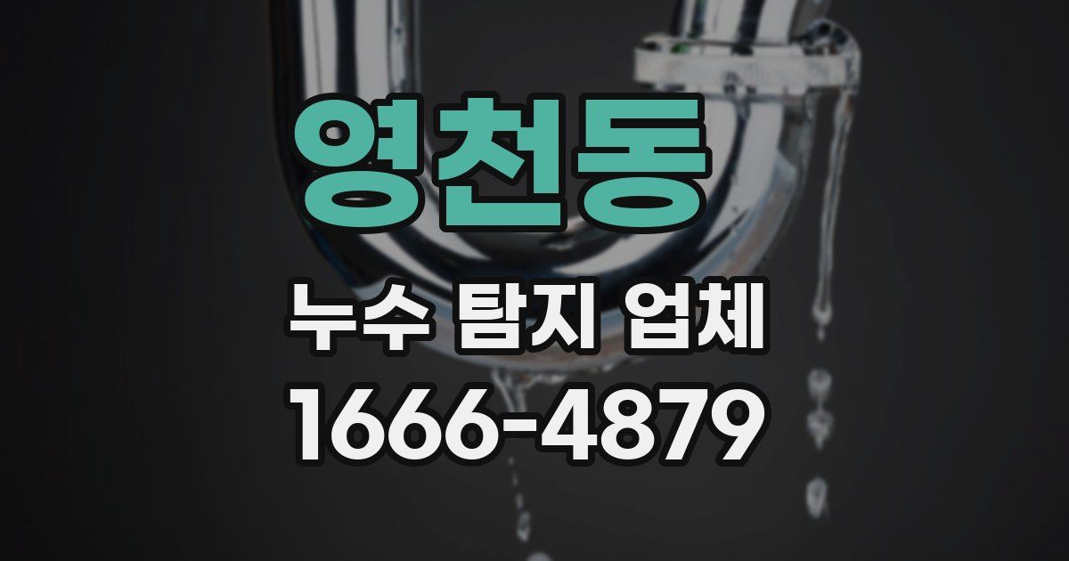 영천동 누수 탐지 업체