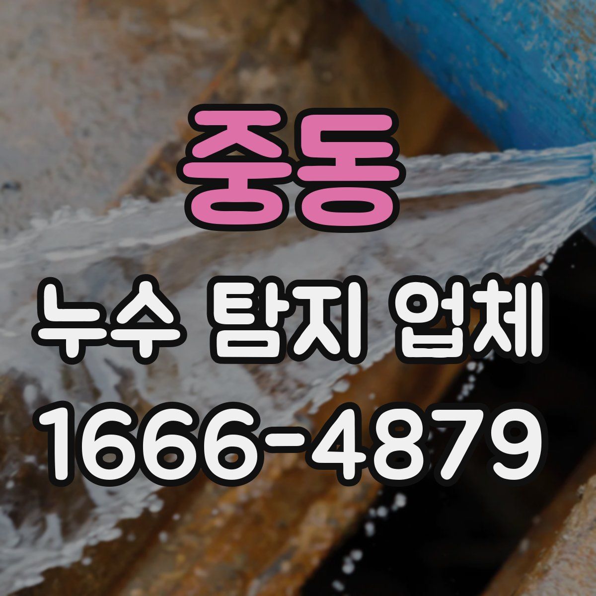 중동 누수 탐지 업체