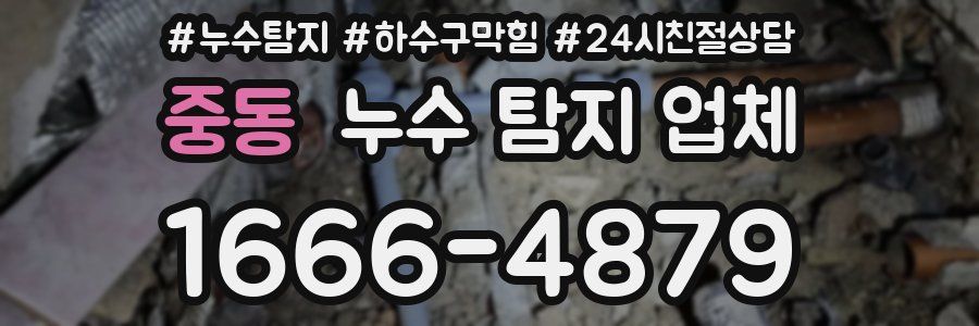 중동 누수 탐지 업체
