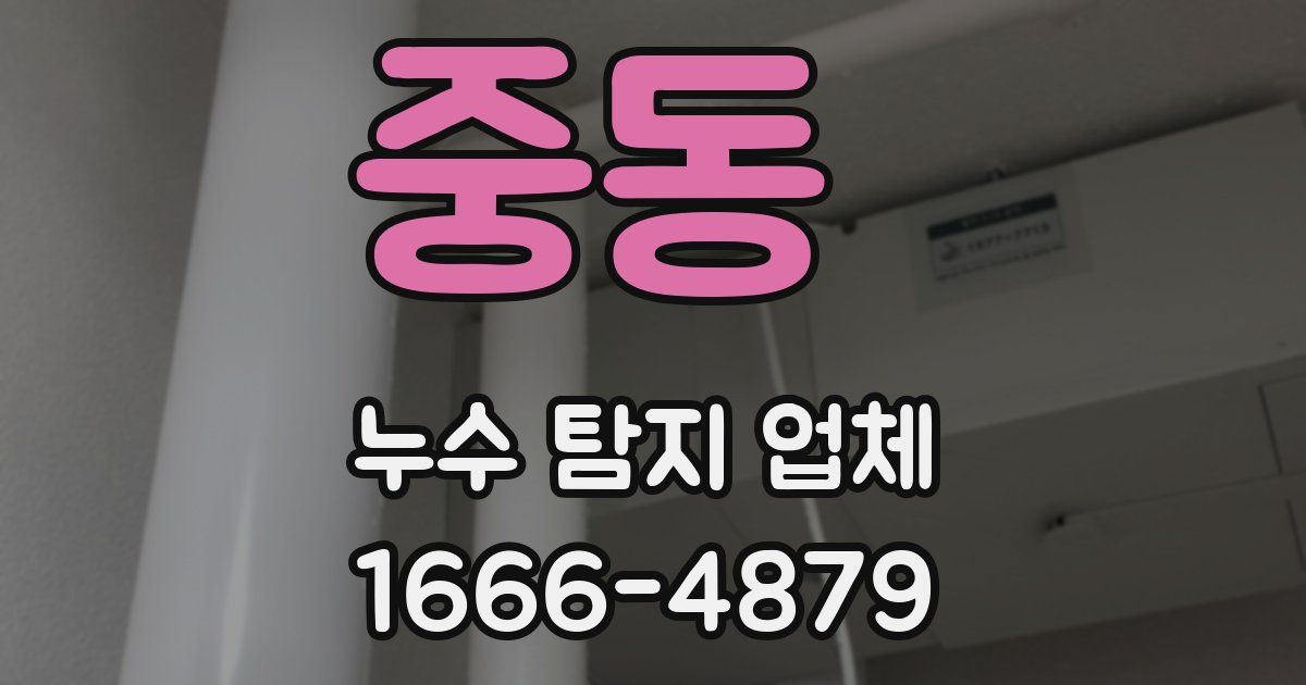 중동 누수 탐지 업체