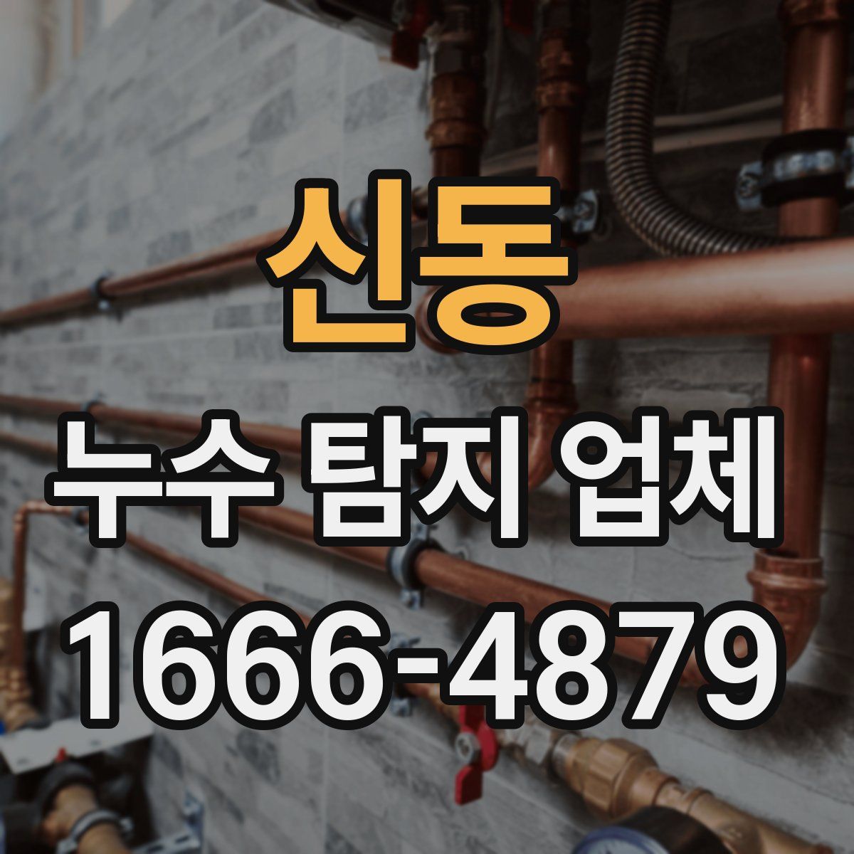 신동 누수 탐지 업체